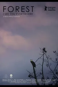 Лес: Вижу тебя повсюду (фильм 2021)