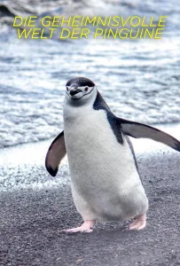 Секреты пингвинов (сериал 2025)